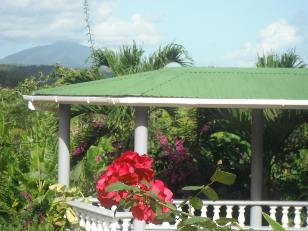 Classique International In Dominica Marigot Pokój zdjęcie
