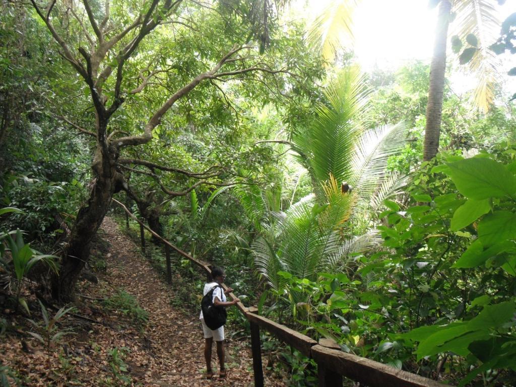 Classique International In Dominica Marigot Zewnętrze zdjęcie