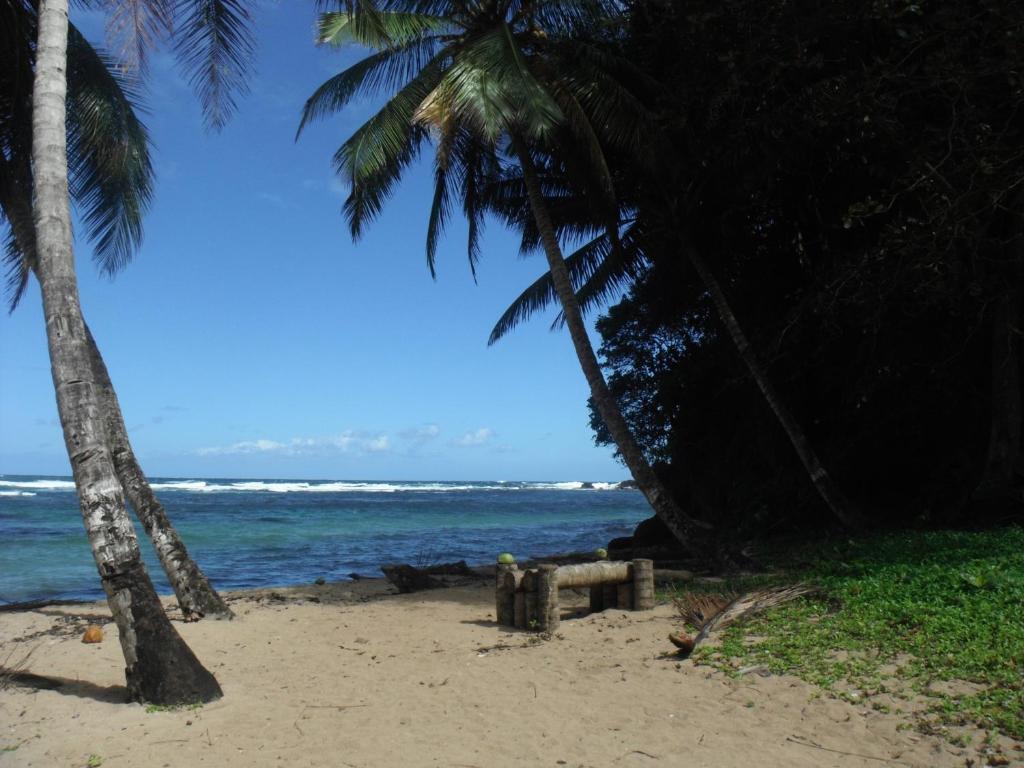 Classique International In Dominica Marigot Zewnętrze zdjęcie